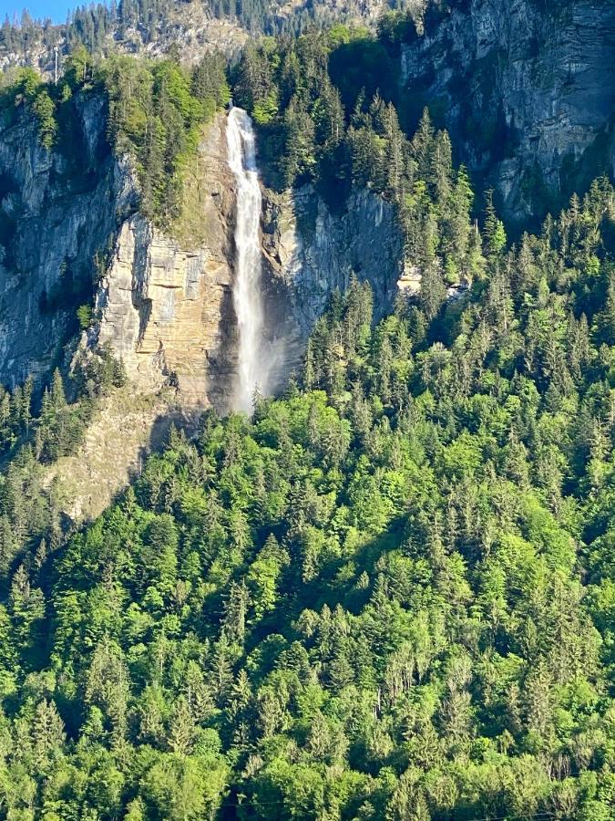 Appartement Aareschlucht- Grandiose Aussicht Fuer 2-6 Pers. Meiringen Exterior foto